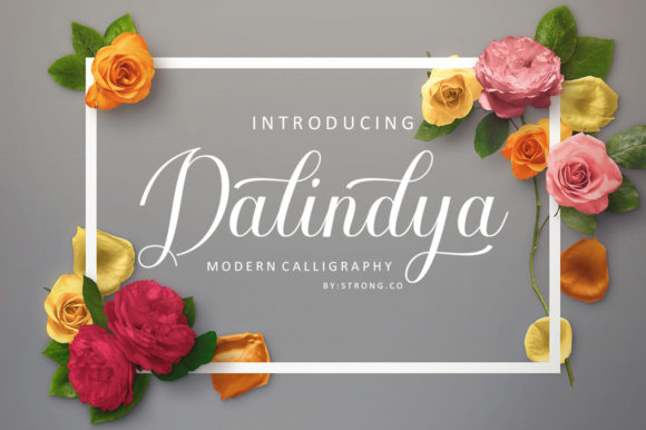 Dalinya Script Font for Web Design