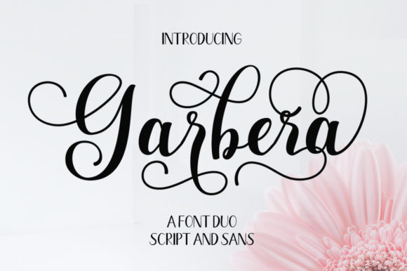 Garbera Duo: A Perfect Font Pair for Craft Projects