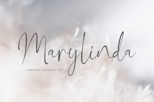 Marylinda: A Refined Script Font for Digital Branding