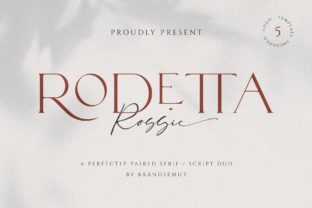 Rodetta Rossie Serif Font Review