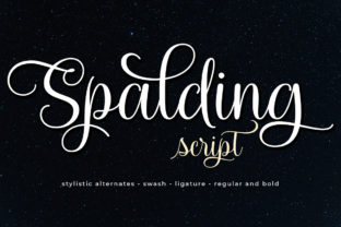 Spalding Font for Editorial Design and Content Creation